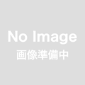 川根茶ティーバッグ（紐付き）3g15ケ入