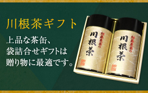 瀧　無農薬栽培の川根茶　100g×10袋　免疫力up 農家直売 静岡茶・川根茶の相藤農園 農林水産大臣賞受賞