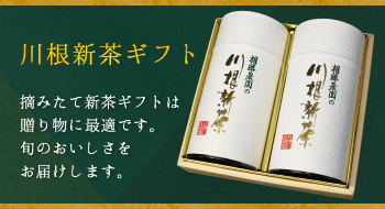 川根新茶ギフト