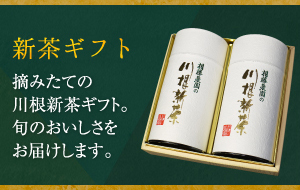 川根茶ギフト